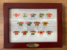 Cricket World Cup 2003 set of Pin badges Mounted and framed Cricketer