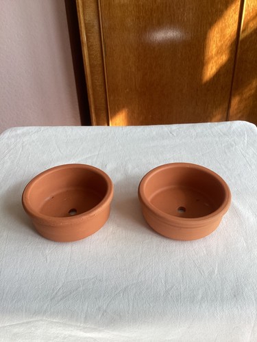 Two terracotta circular bonsai - two,