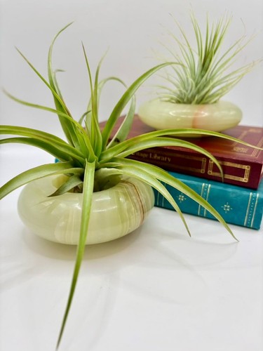 Vintage pale green - vintage, onyx