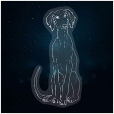 'Saluki Puppy' Static Window