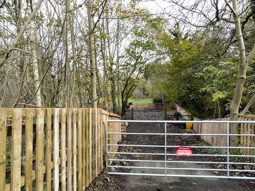 Photo 6x4 grazing bredbury - photo, at