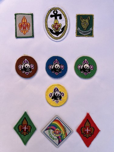 Boy scouts america bsa - boy,