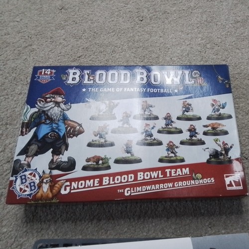 Gnome blood bowl - bowl, team