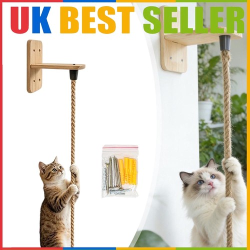 Cat climbing rope - climbing,