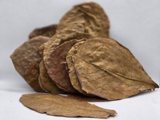 Almond nano leaves 25 per