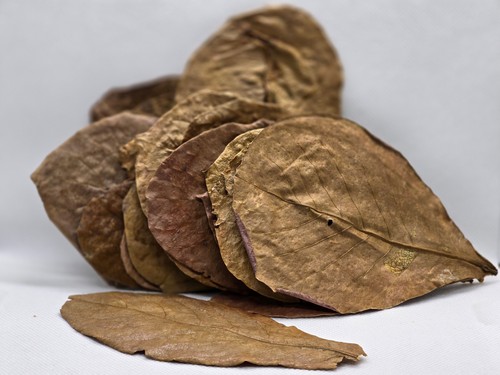 Almond nano leaves - , per