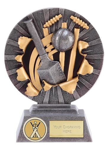 Xplode cricket trophy silver - xplode,