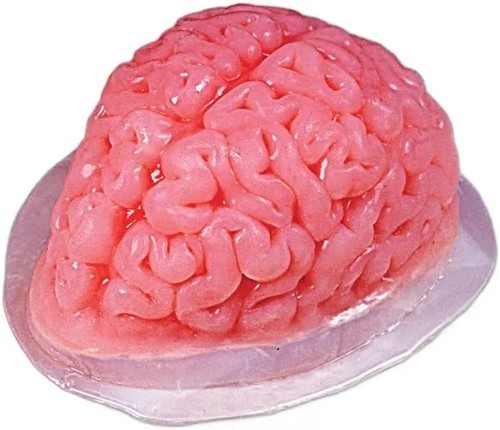Brain jelly mould fun - by, world