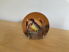 Metal Enamel Small Plate with Kiwi Bird Design And Display Stand.