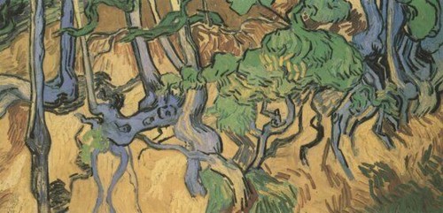 Roots and tree trunks - trunks, gogh