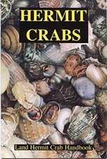 Hermit crabs land - hermit, crab