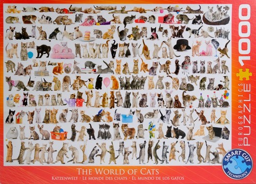 Eurographics the world cats - eurographics,
