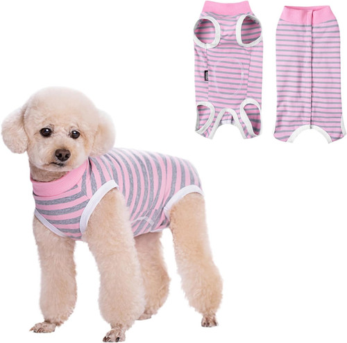 Dog recovery suit - recovery, suit,recovery