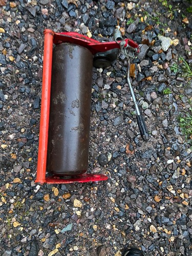 Mountfield empress older - mountfield, 18