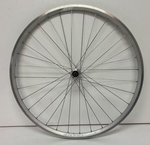 Giant spoke silver - 32-spoke,