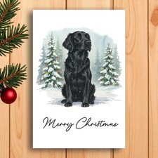 Black Flat Coated Retriever