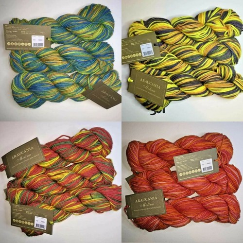 Araucania molina 50g - araucania,