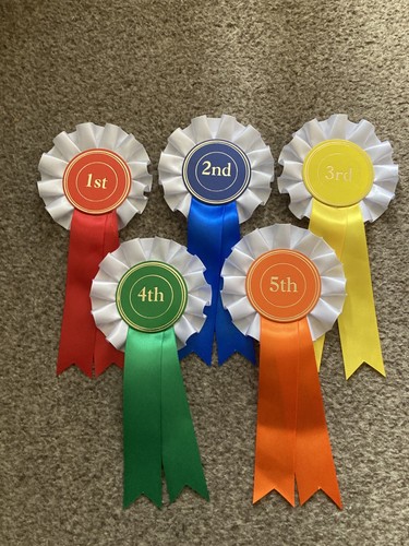 1st 5th place tier - 1st-5th, x