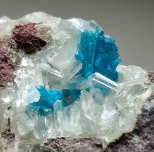 Cavansite and Zeolite crystals