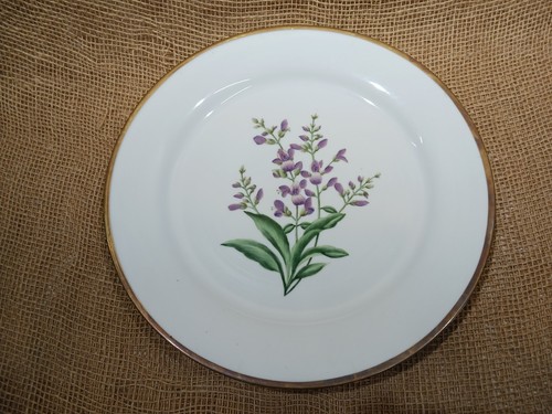 Botanique purple flower - purple,
