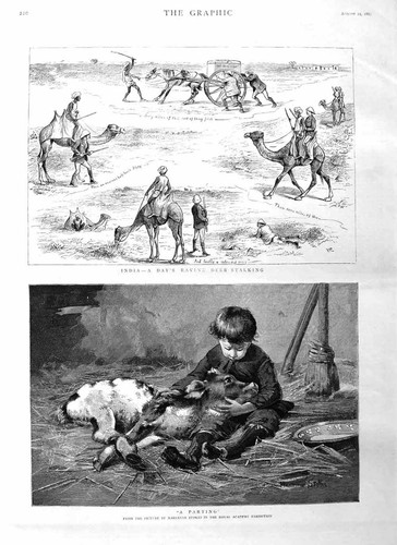 Old antique print 1885 - old,
