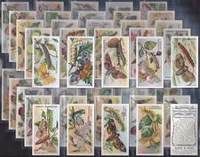 ADKIN-FULL SET- BUTTERFLIES & MOTHS 1924 (50 CARDS) EXCELLENT