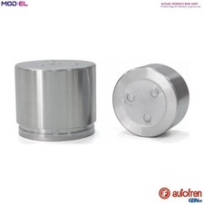 PISTON BRAKE CALIPER D025850