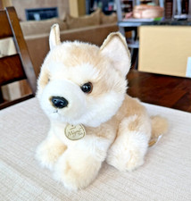 AURORA MIYONI Tots AKITA Puppy