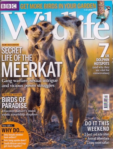 Bbc wildlife magazine dec - bbc, magazine-dec
