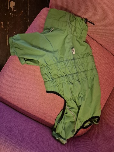 Green dog coat - green,