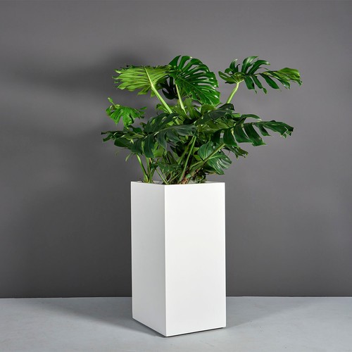 75x40x40 white high quality - cm,