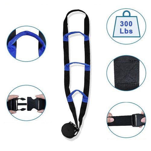 Bed ladder assist - assist, with