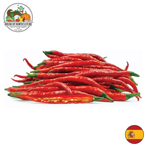 Fresh spanish long red - fresh,