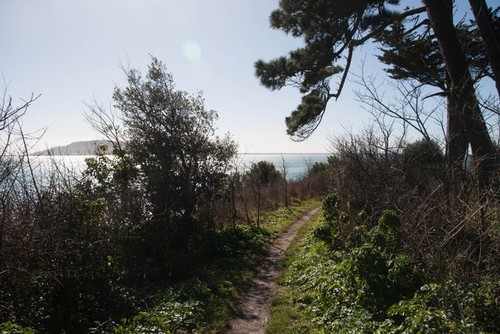 Photo 6x4 footpath western - footpath, at