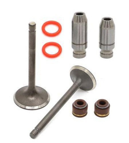 Valve intake exhaust seals - exhaust,