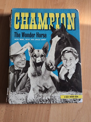Champion the wonder - wonder, horse