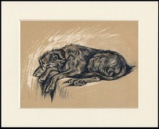 SCOTTISH DEERHOUND SLEEPING