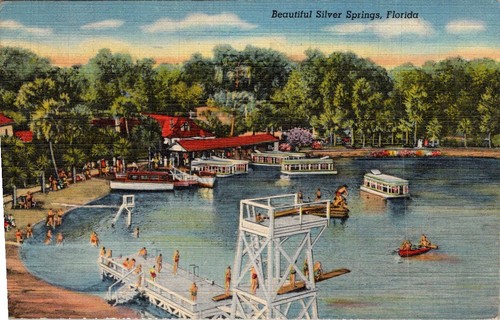 Silver springs postcard - silver,
