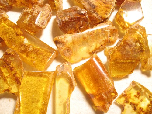 Miocene amber colombia - miocene,