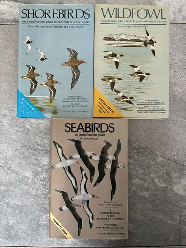Seabirds shorebirds wildfowl - shorebirds,