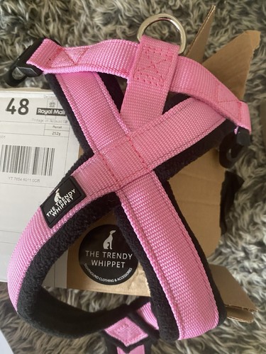 Trendy whippet pink padded - trendy,