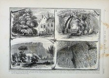 Original Old Antique Print Edinburgh 1882 Moray House Garden Arbour Levee Room