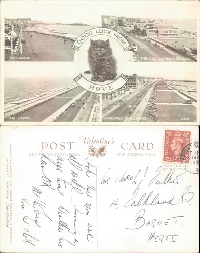 Hove seafront with - a, kitten