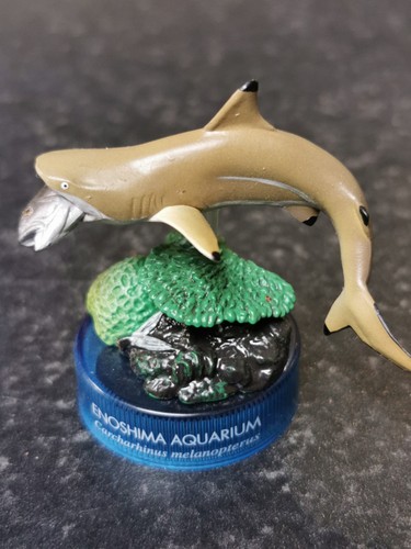 Kaiyodo enoshima aquarium - kaiyodo,