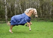 Rhinegold Atlanta Turnout Rug