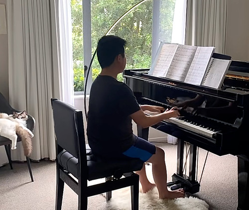 Adjustable piano chair with - chair,