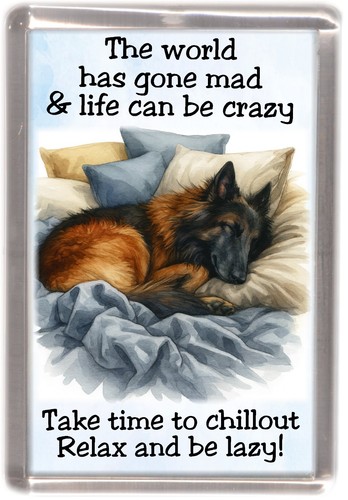 Tervueren belgian shepherd dog - tervueren,