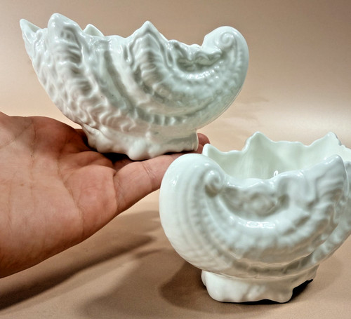 Coalport seashell dishes set - coalport,