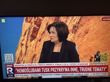 Polska telewizja internetowa