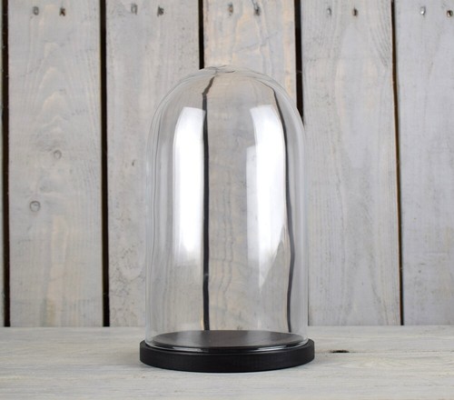 Small glass dome display cover - small,